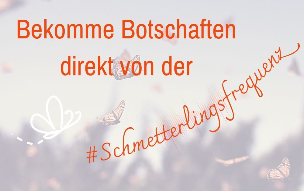Schmetterlingsfrequenz Einladung